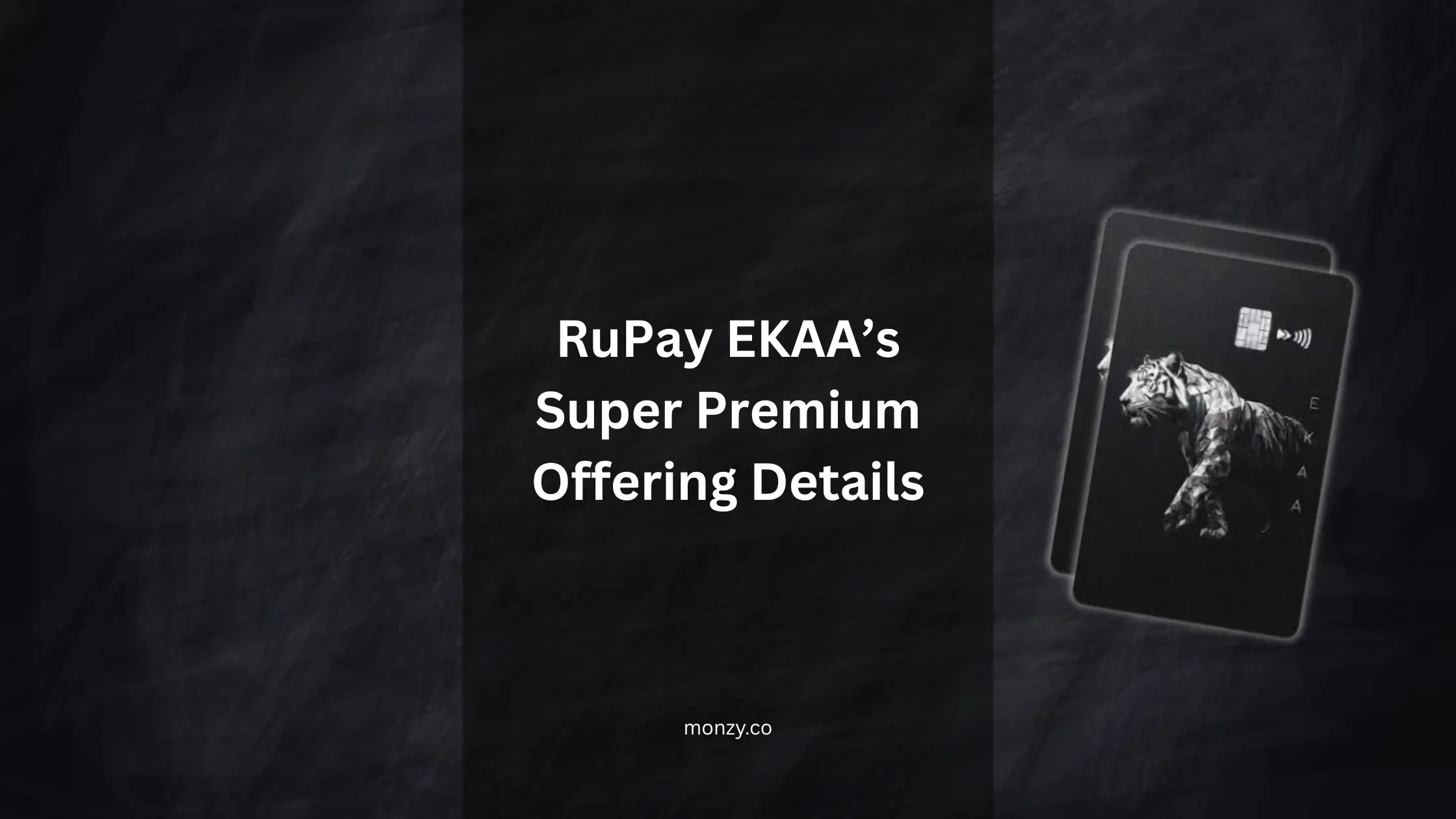 rupay-ekaa-credit-card-features-monzy-india